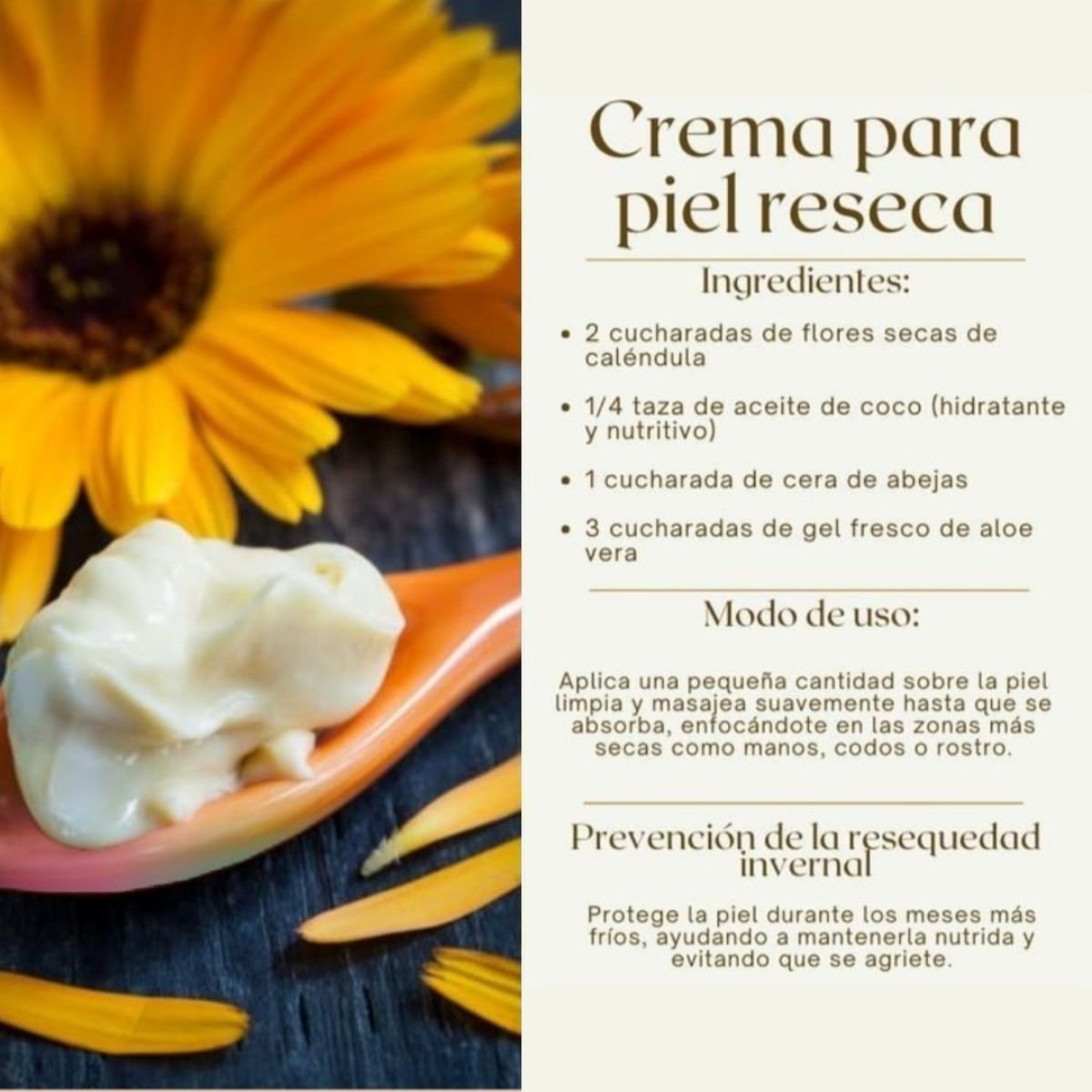 Crema facial de Caléndula para piel sensible y rosácea, bálsamo calmante natural para reducir rojeces e inflamación cutánea.